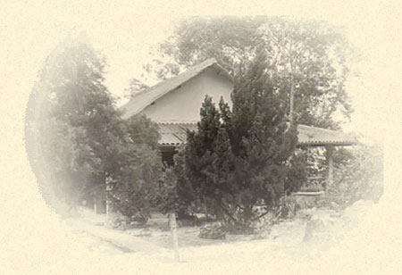 tvchonkhong